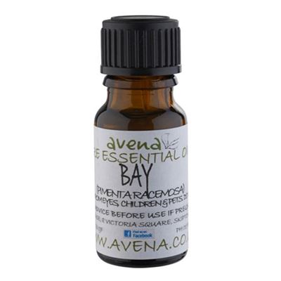 Bay Essential Oil (Pimenta Racemosa) 10ml