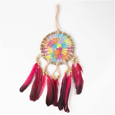 Dream Catchers With Red Feathers Medium