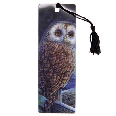 Owl On Signpost 3D Bookmark by Lisa Parker