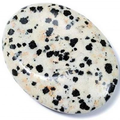 Dalmatian Jasper Thumb Stone