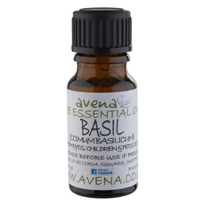 Basil Essential Oil (Ocimum Basilicum) 10ml
