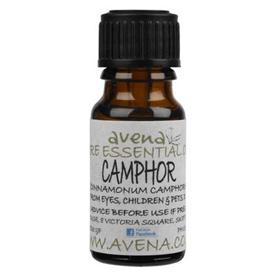 Camphor Essential Oil (Cinnamomum camphora) 10ml