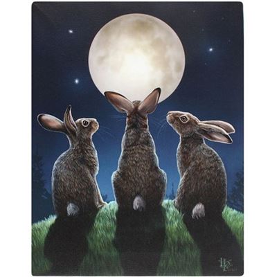Hare & Moon Canvas Picture by Lisa Parker