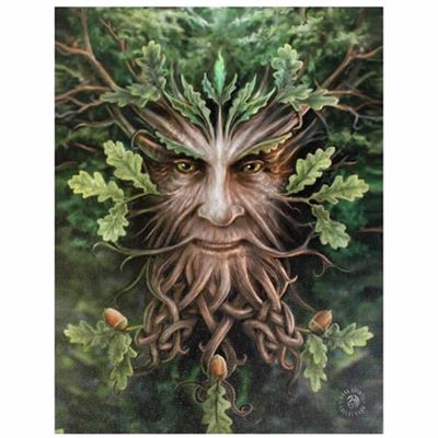 Tree Man Canvas Picture by Anne Stokes