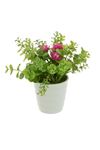 Pink Small Pot Realistic Artificial Plant