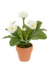 White Bellis Pot Realistic Artificial Plant