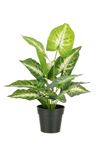 Syngonium Realistic Artificial Plant In Pot Green Leaves Large