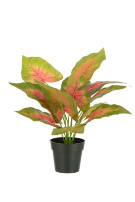 Syngonium Realistic Artificial Plant In Pot Red Leaves Large