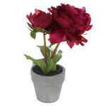 Red Potted Peony Realistic Artificial Plant
