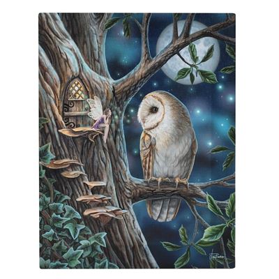 Owl & Fairy Canvas Picture by Lisa Parker