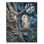 Owl & Fairy Canvas Picture by Lisa Parker