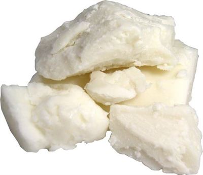 Shea Butter (Butyrospermum parkii)