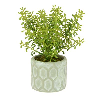 Green Realistic Artificial Plant In Patterned Pot 20cm