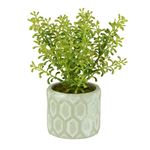 Green Realistic Artificial Plant In Patterned Pot 20cm