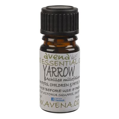 Yarrow Essential Oil (Achillea millefolium)