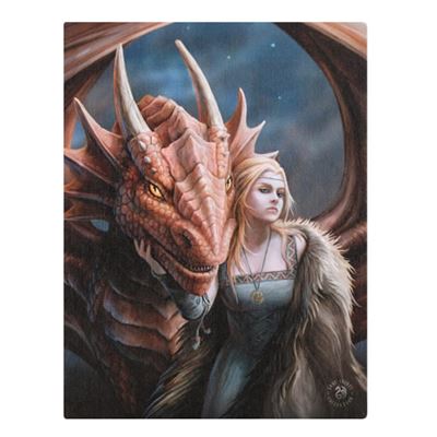 Friend or Foe Lady with Dragon Canvas Picture by Anne Stokes