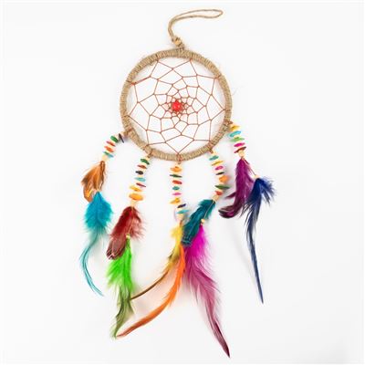 Multi Coloured Dream Catcher Medium