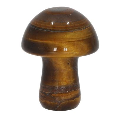 Tigers Eye Carved & Polished Mushroom