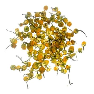 Chamomile Flowers Bulk Buy 250g Bag