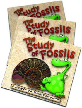 The Study of Fossils Booklet