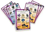 Rock & Mineral Laminated Information Card
